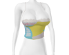 EN Delicate Faline L