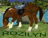 ROZILYN