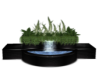 Water Feature/Plants