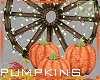 Pumpkins 5a Ⓚ