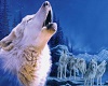 MJ-Howling White wolf