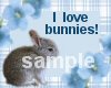 I love bunnies