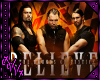 WWE- The Shield Poster