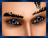 Black Eyebrows