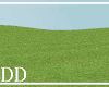 Open Field | Spring