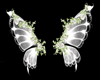 wedding wings 