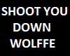 Shoot You Down by Wolffe