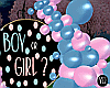 Gender Reveal Backdrop