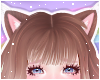 🌙 Lynx Ears Donut