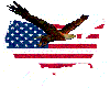 Usa flag eagle