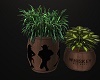 Western Potted Plant2