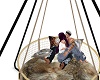 Contained Passion swing