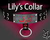 Lily's Collar