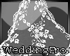 Long Wedding Veil