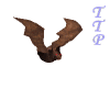 [TTP] Pet Bat