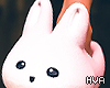 H. Bunny Slippers