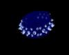 blue Spiked collar