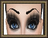 [C]BEAUTY BLACK BROWS