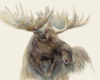 Moose Painting 1