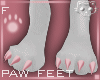 PawsF Pink F1c Ⓚ