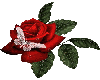 (MMD)rose2