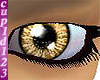 Hazel Sparkles Eyes M