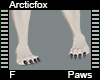 Arcticfox Paws F