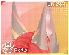 [Pets] Luci | ears v1