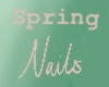 P~ Spring Nails