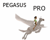 PEGASUS  PRO