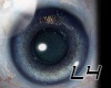 [L4]Blue Shiny Eyes