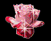 pink rose