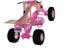 Rose Gold 4 Wheeler