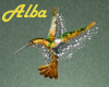 ! AA - Humming bird