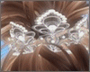 Wedding Long Veil 2023