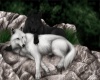 *KitTy* Sweet Wolf Bed