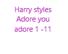 Harry styles - adore you
