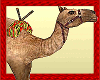 Animated Camel Ride