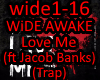 Wide Awake - Love Me