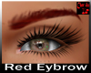 RED Eybrows