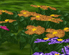 [kyh]river_flowers
