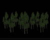 Green Pine Trees GPT0-3
