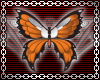 Butterfly Bar Sticker