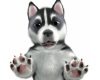 cute husky puppy sticker