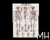 [MH] Skeletal System