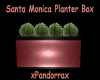 Santa Monica Planter