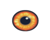 fox eyes