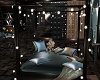 Shades Canopy Bed 2