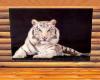 [CD] White Tiger Rug