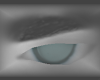 Slate |Eyes|
